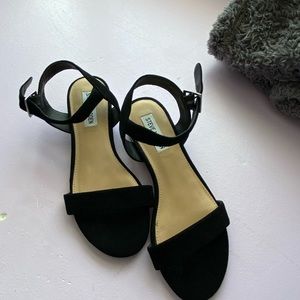 Brand New Steve Madden Pearled Kitten Heals